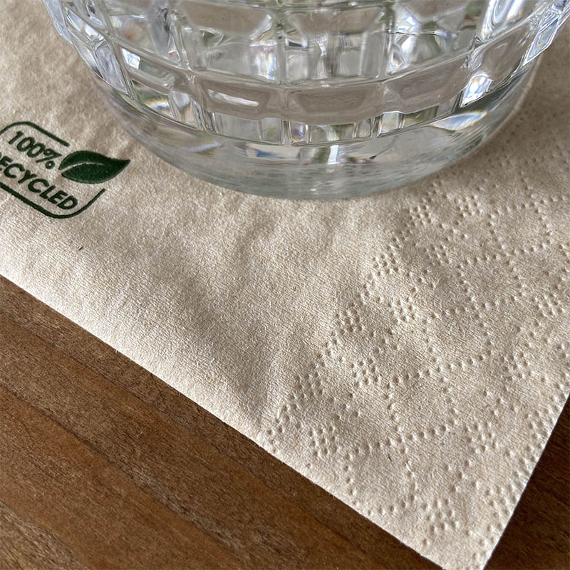 Muster ECO-Serviette-25x25cm- 2 Schichten - Craft On Table